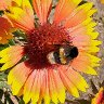 IMG-20250716-WA0004