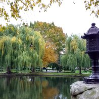 IMG_20161103_130826171_HDR.jpg