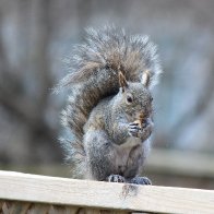 IMG_0583.JPG