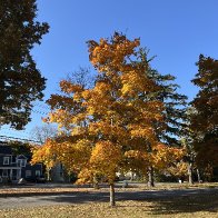 IMG_2598-scaled.jpg
