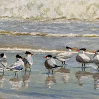 IMG_0628.jpeg