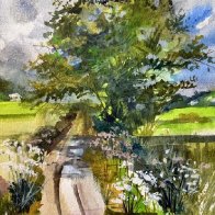 Wildflower Lane.JPG