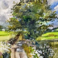 Wildflower Lane 1.JPG