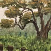 IMG_0853.jpeg