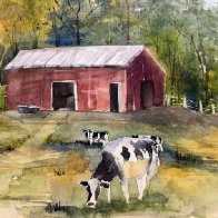 Contented Cows.JPG