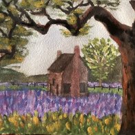 IMG_0869.jpeg