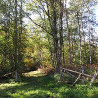 20181010_133346.jpg