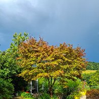 Saskyas-garden-east-20250721_165723-21-07-2025-1440X1920 bea.jpg