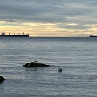 IMG_2083-1024x768.jpg