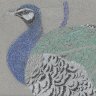 real final peacock
