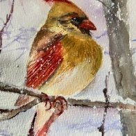 Bird Challenge - Small Colorful Birds.JPG