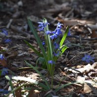 DSC_0628.jpeg