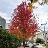 IMG_8765-scaled.jpg