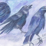 Corvid small.jpg