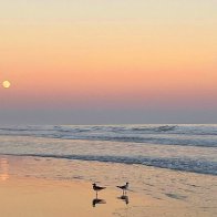 Moon Rising at Sunset 8x10.JPG