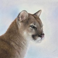 IMG_7846.jpg