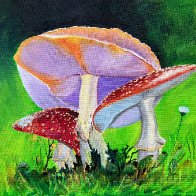 Shrooms.jpg