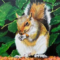 Squirrel.jpg