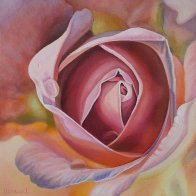 Pink Rose by Vanessa Barringer.jpg