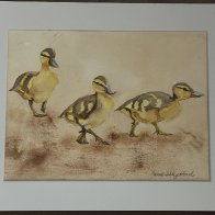 Just Ducky 2,IMG_1213 (002).jpg