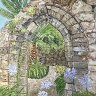 Old Stone Wall, Tresco Abbey
