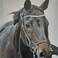 The Show Horse.jpg