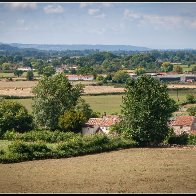Farmland 2.jpg