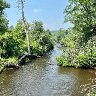 trout brook