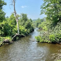 trout brook.jpg