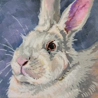 FuzzyBun.jpg