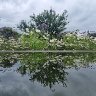 rhs water reflection