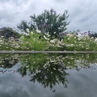 rhs water reflection.jpg