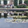 rhs pond and people