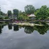 rhs pond