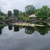 rhs pond.jpg