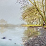 Misty Morning.jpg