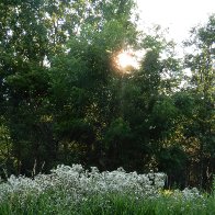 DSCN5962.JPG
