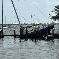 56C00098-371A-43C7-95CD-EBFCA7846447.jpeg