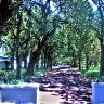 Stellenbosch Walkway
