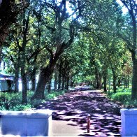 WC To Paint Stellenbosch.jpg