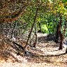 Paarl Forest Walkway