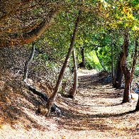 Paarl (74).JPG