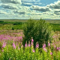 IMG_6281_framed (2).jpg