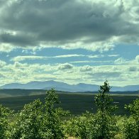 IMG_6278.JPG