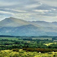IMG_5718.JPG