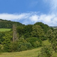 looking-over-back-fence-1920X560.jpg