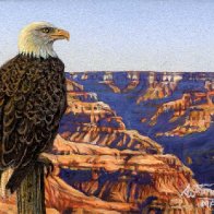 2.5x4-Admirer-of-the-Canyon-2507-nopn.jpg