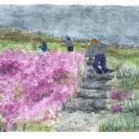 RoLandscape PMPsz9143.JPG