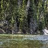 Fly fishing on the Yellowstone