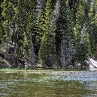 _W9A1732 Yellowstone fishing_.jpg